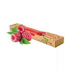 Мармелад из натуральных ягод на фруктозе МАЛИНА /0,100 ПЕНАЛ, кг Любэль-эко